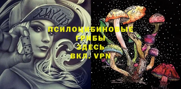 прущие крисы Краснотурьинск