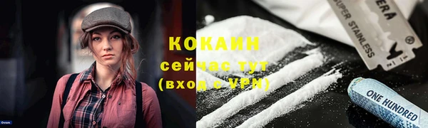 мет Кукмор
