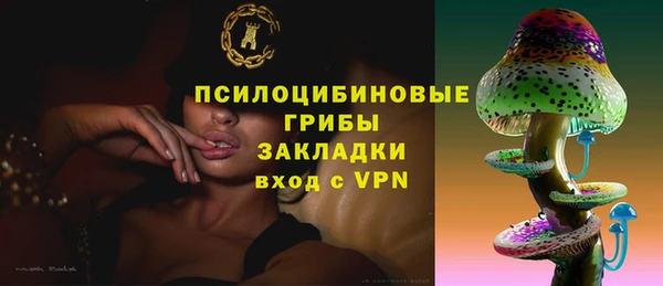 хмурый Кулебаки