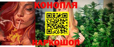 apvp Волгодонск